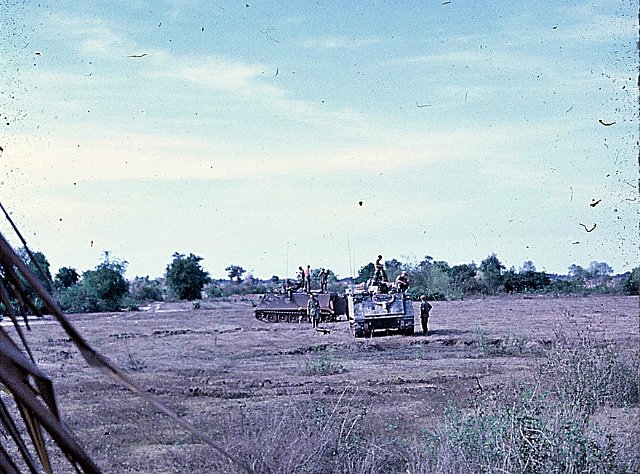 track with water buffalo skull